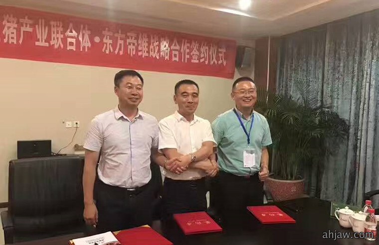 潜龙飞天——安徽生猪产业联合体采购联盟走进东方帝维成功启动并签订战略合作协议!