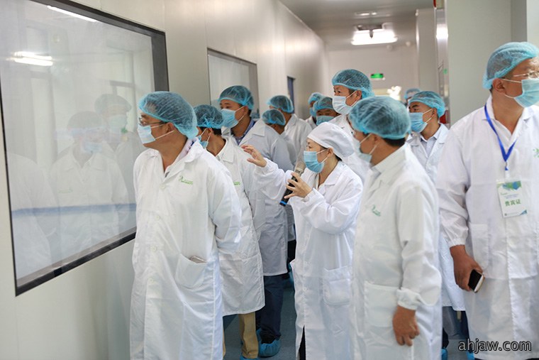 相约亳州药博会 · 相聚东方帝维——东方帝维伪狂犬净化曹峰论坛暨客户中医健康养生答谢会