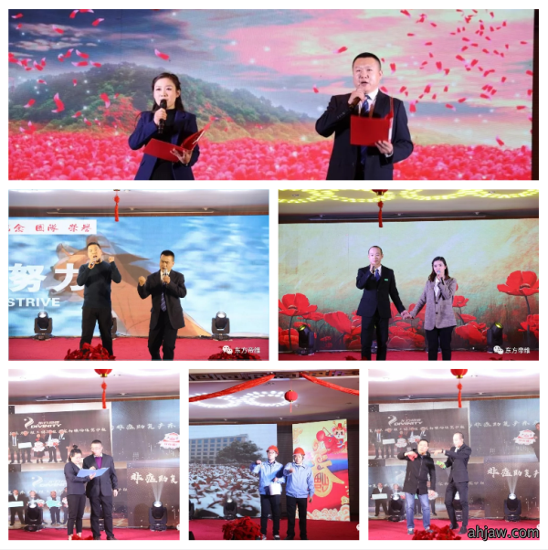 十年风雨铸辉煌 不忘初心创未来 东方帝维喜迎新春