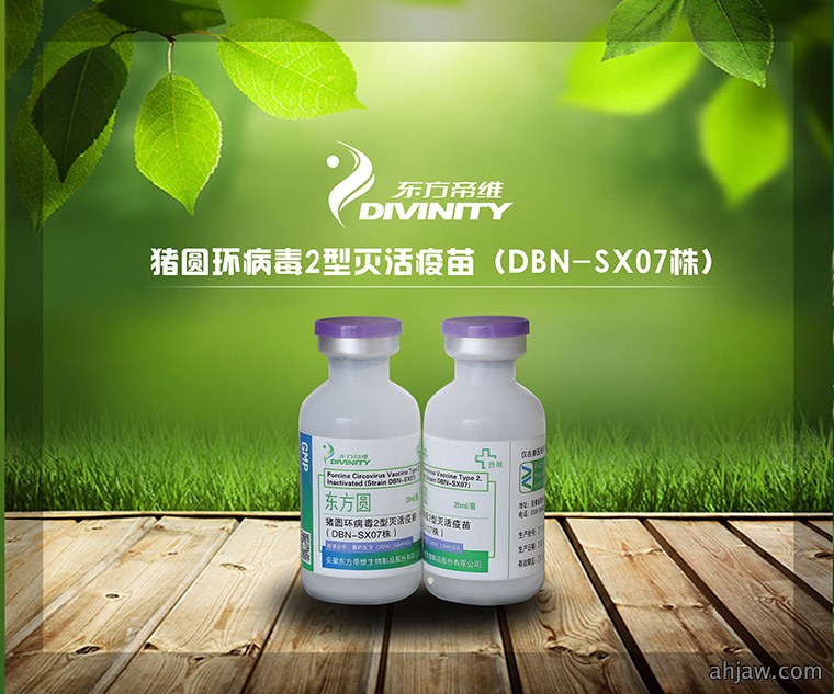 “桃曹不言 下自成蹊”—— 东方帝维成果斐然 参观者络绎不绝!