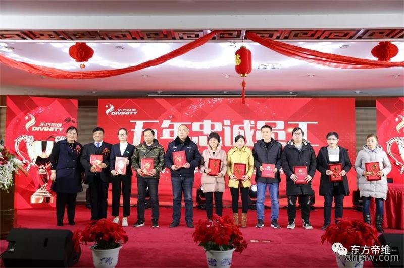 十年风雨铸辉煌 不忘初心创未来 东方帝维喜迎新春