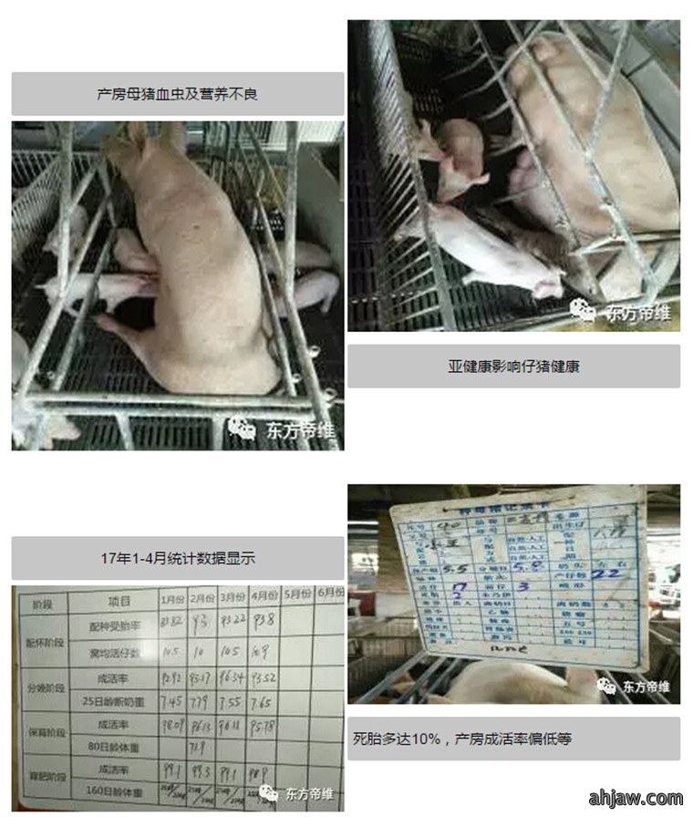 东方帝维健康万场行——东方伪净NO1001案例佐证