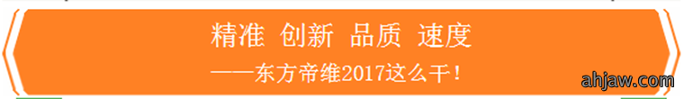 、创新、品质、速度——东方帝维2017这么干!