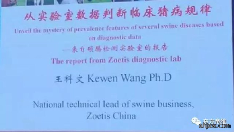 连载:东方帝维直播曹曼大会,干货都在这里!!!