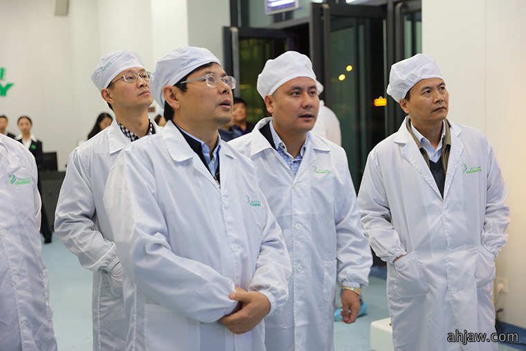 东方帝维荣获安徽省“三重一创”项目支持