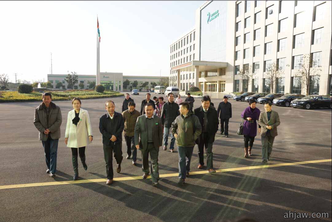 安徽省总工会副主席许晓东莅临调研公司调研