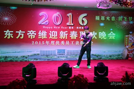 东方帝维2016迎新春晚会及2015年终总结表彰大会