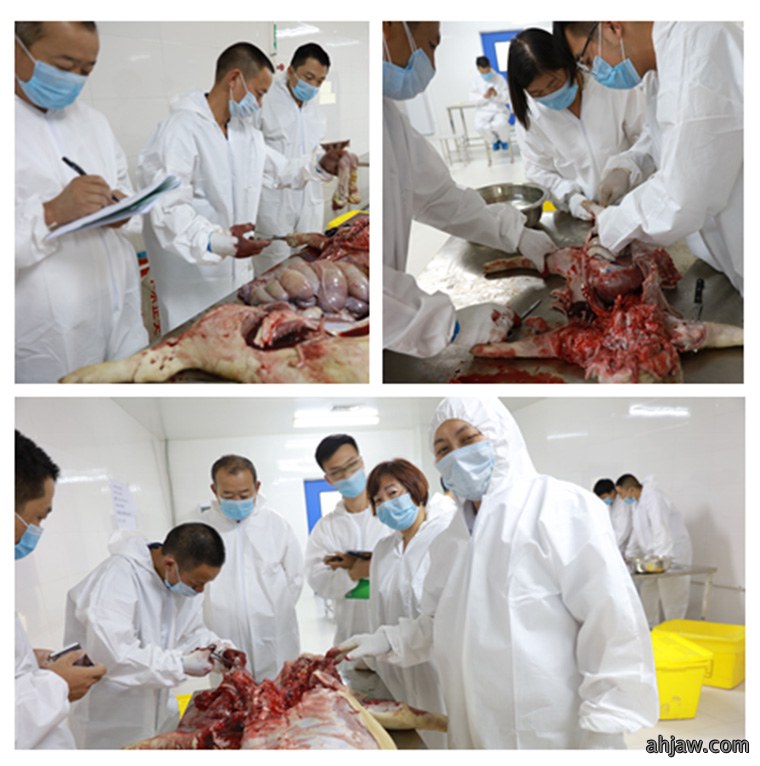 祝贺东方帝维健康养殖技术学院第四期培训班圆满成功!
