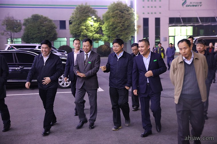 东方帝维荣获安徽省“三重一创”项目支持