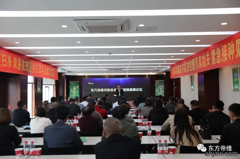 调整策略，东方帝维重磅布局河南市场